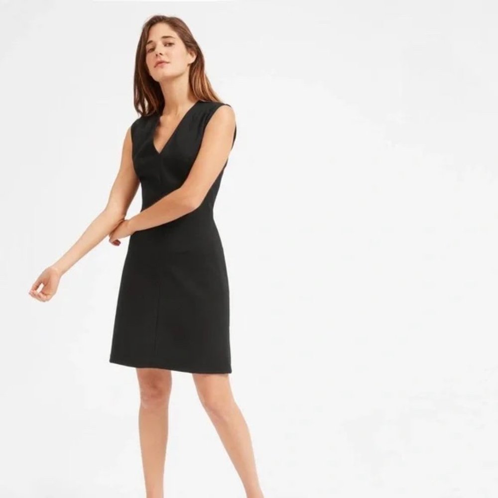 Everlane the Sleeveless V-Neck Flare Dress